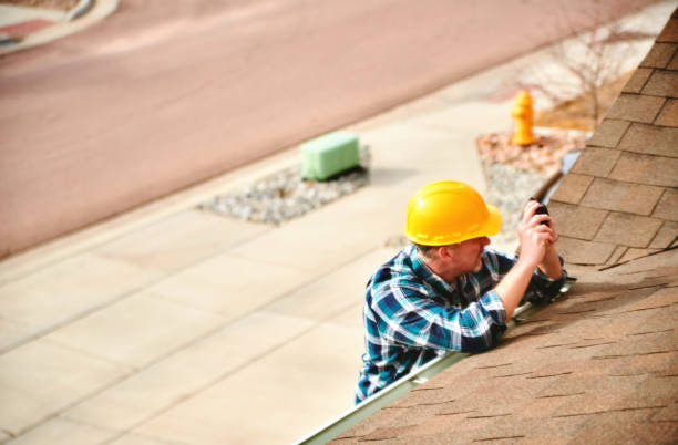 Roof Gutter Cleaning in Massanetta Springs, VA