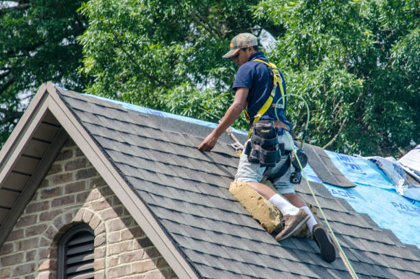Best Roof Leak Repair  in Massanetta Springs, VA